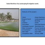 Dubai Maritime City Projects