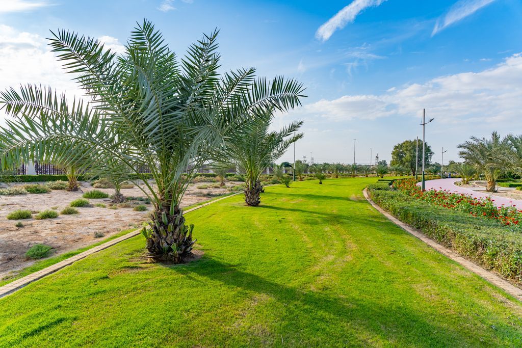 Nakheel Park - AQAR LANDSCAPE LLC