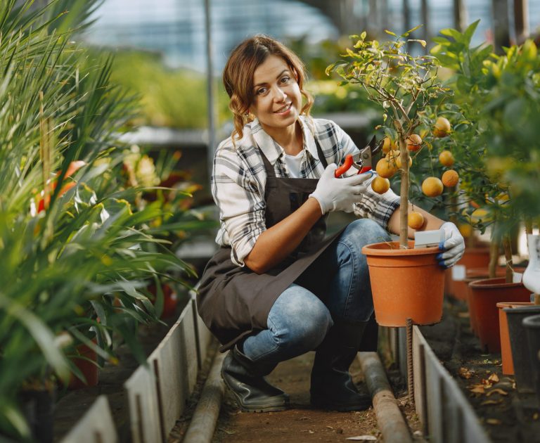 women working in a garden